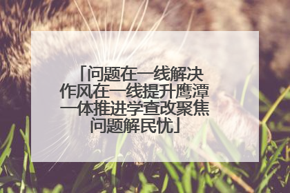 问题在一线解决 作风在一线提升鹰潭一体推进学查改聚焦问题解民忧