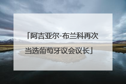 阿吉亚尔-布兰科再次当选葡萄牙议会议长