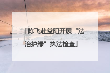 陈飞赴益阳开展“法治护绿”执法检查