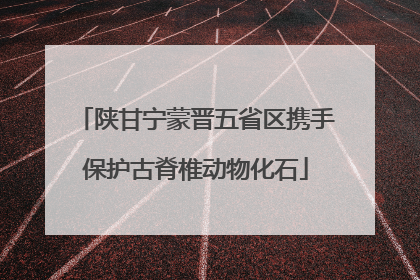 陕甘宁蒙晋五省区携手保护古脊椎动物化石