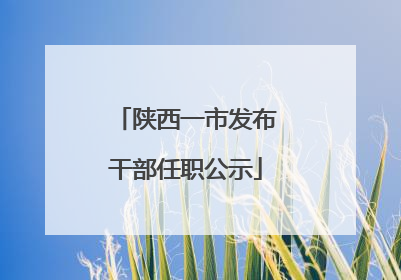 陕西一市发布干部任职公示