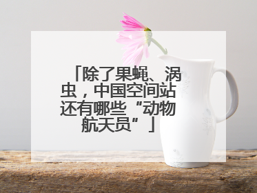 除了果蝇、涡虫，中国空间站还有哪些“动物航天员”