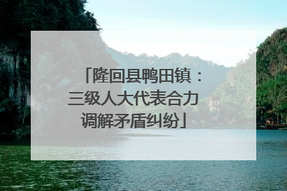 隆回县鸭田镇：三级人大代表合力调解矛盾纠纷