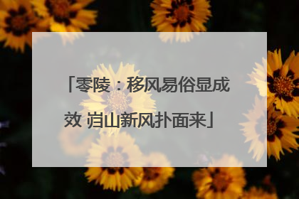 零陵：移风易俗显成效 岿山新风扑面来