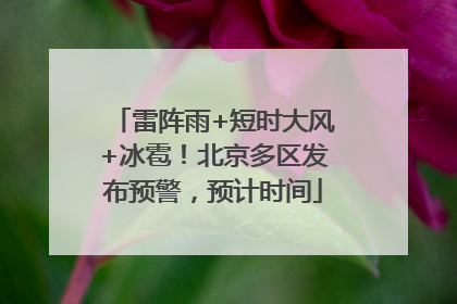 雷阵雨+短时大风+冰雹！北京多区发布预警，预计时间