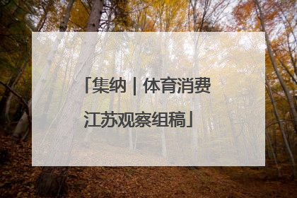 集纳｜体育消费江苏观察组稿