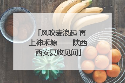 风吹麦浪起 再上神禾塬——陕西西安夏收见闻