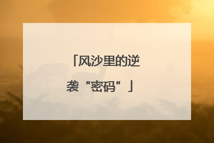 风沙里的逆袭“密码”