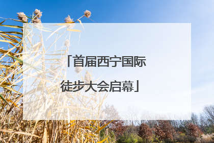 首届西宁国际徒步大会启幕