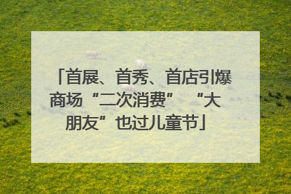 首展、首秀、首店引爆商场“二次消费” “大朋友”也过儿童节