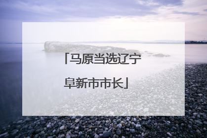 马原当选辽宁阜新市市长