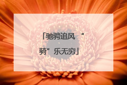 驰骋追风 “骑”乐无穷