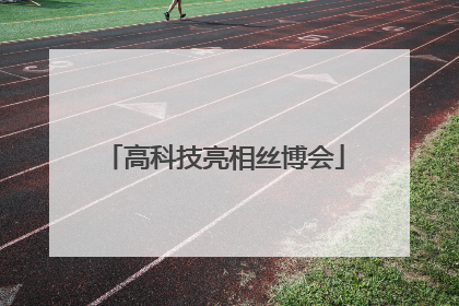 高科技亮相丝博会