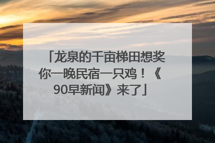 龙泉的千亩梯田想奖你一晚民宿一只鸡！《90早新闻》来了