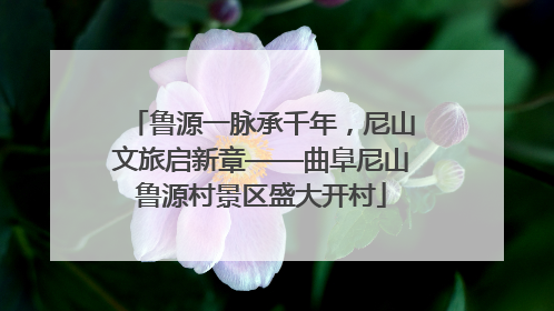 鲁源一脉承千年，尼山文旅启新章——曲阜尼山鲁源村景区盛大开村