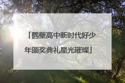 鹤壁高中新时代好少年颁奖典礼星光璀璨