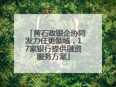 黄石政银企协同发力住更领域，17家银行提供融资服务方案