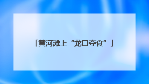黄河滩上“龙口夺食”