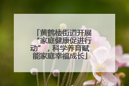 黄鹤楼街道开展“家庭健康促进行动”，科学养育赋能家庭幸福成长
