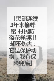 黑熊连续3年来偷蜂蜜 村民防盗花样频出却不伤害：它是保护动物，我有保险兜底