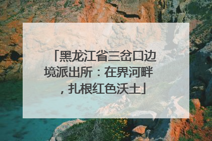 黑龙江省三岔口边境派出所：在界河畔，扎根红色沃土