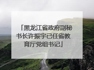 黑龙江省政府副秘书长许振宇已任省教育厅党组书记