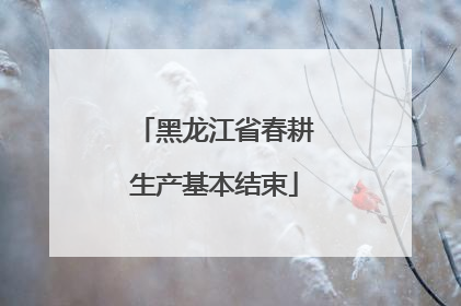黑龙江省春耕生产基本结束