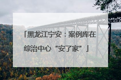 黑龙江宁安：案例库在综治中心“安了家”