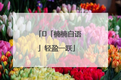 ﻿「楠楠自语」轻盈一跃