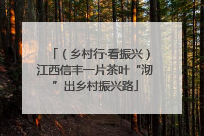（乡村行·看振兴）江西信丰一片茶叶“沏”出乡村振兴路