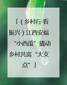 （乡村行·看振兴）江西安福“小西瓜”撬动乡村共富“大支点”