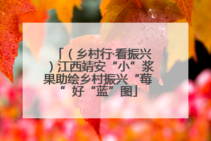 （乡村行·看振兴）江西靖安“小”浆果助绘乡村振兴“莓”好“蓝”图