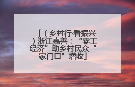 （乡村行·看振兴）浙江嘉善：“零工经济”助乡村民众“家门口”增收