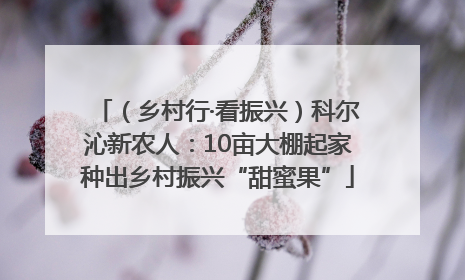 （乡村行·看振兴）科尔沁新农人：10亩大棚起家种出乡村振兴“甜蜜果”