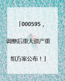000595，调整后重大资产重组方案公布！