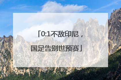 0:1不敌印尼，国足告别世预赛