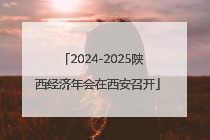 2024-2025陕西经济年会在西安召开