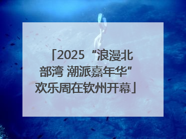 2025“浪漫北部湾 潮派嘉年华”欢乐周在钦州开幕