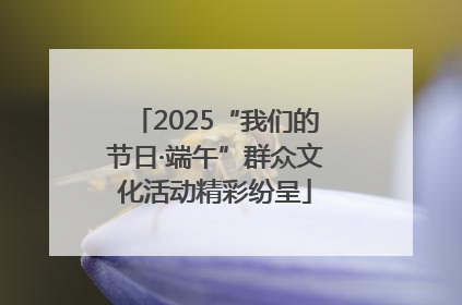 2025“我们的节日·端午”群众文化活动精彩纷呈