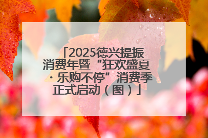 2025德兴提振消费年暨“狂欢盛夏・乐购不停”消费季正式启动（图）