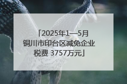 2025年1—5月铜川市印台区减免企业税费 3757万元