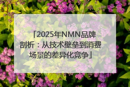 2025年NMN品牌剖析：从技术壁垒到消费场景的差异化竞争