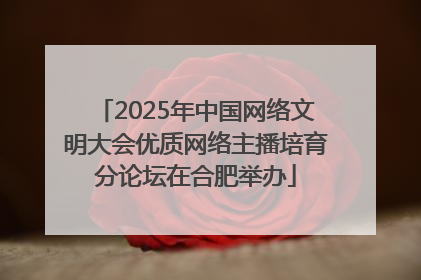 2025年中国网络文明大会优质网络主播培育分论坛在合肥举办
