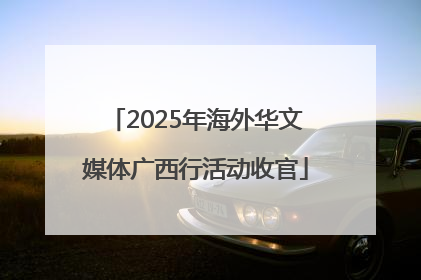 2025年海外华文媒体广西行活动收官