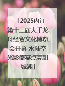 2025内江第十三届大千龙舟经贸文化博览会开幕 水陆空光影盛宴点亮甜城湖