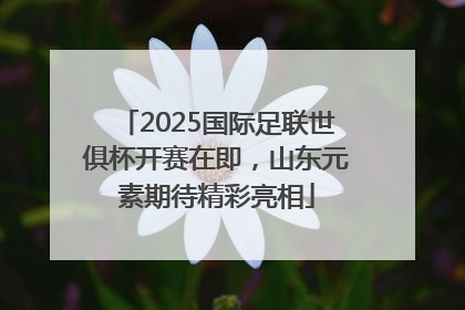 2025国际足联世俱杯开赛在即，山东元素期待精彩亮相