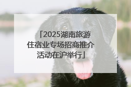2025湖南旅游住宿业专场招商推介活动在沪举行