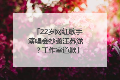 22岁网红歌手演唱会抄袭汪苏泷？工作室道歉