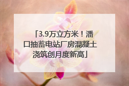 3.9万立方米！潘口抽蓄电站厂房混凝土浇筑创月度新高