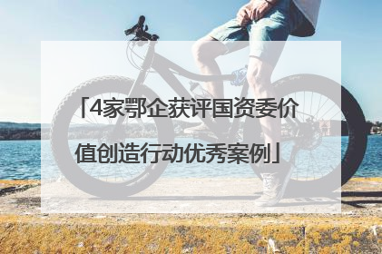 4家鄂企获评国资委价值创造行动优秀案例